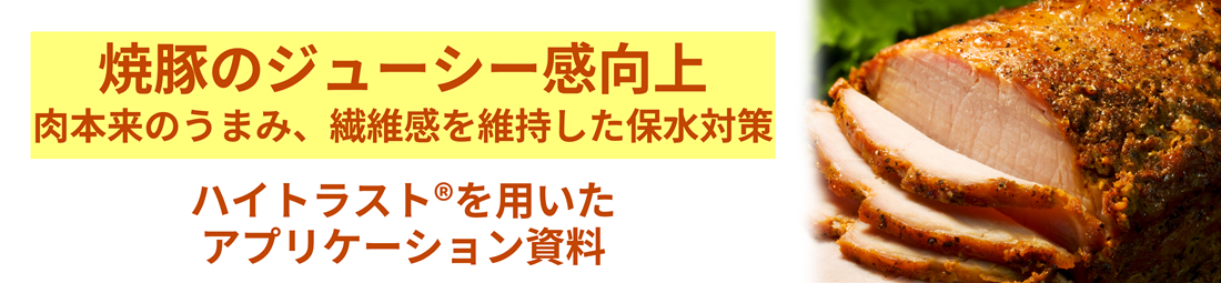 焼豚の繊維感、ジューシー感　ハイトラスト